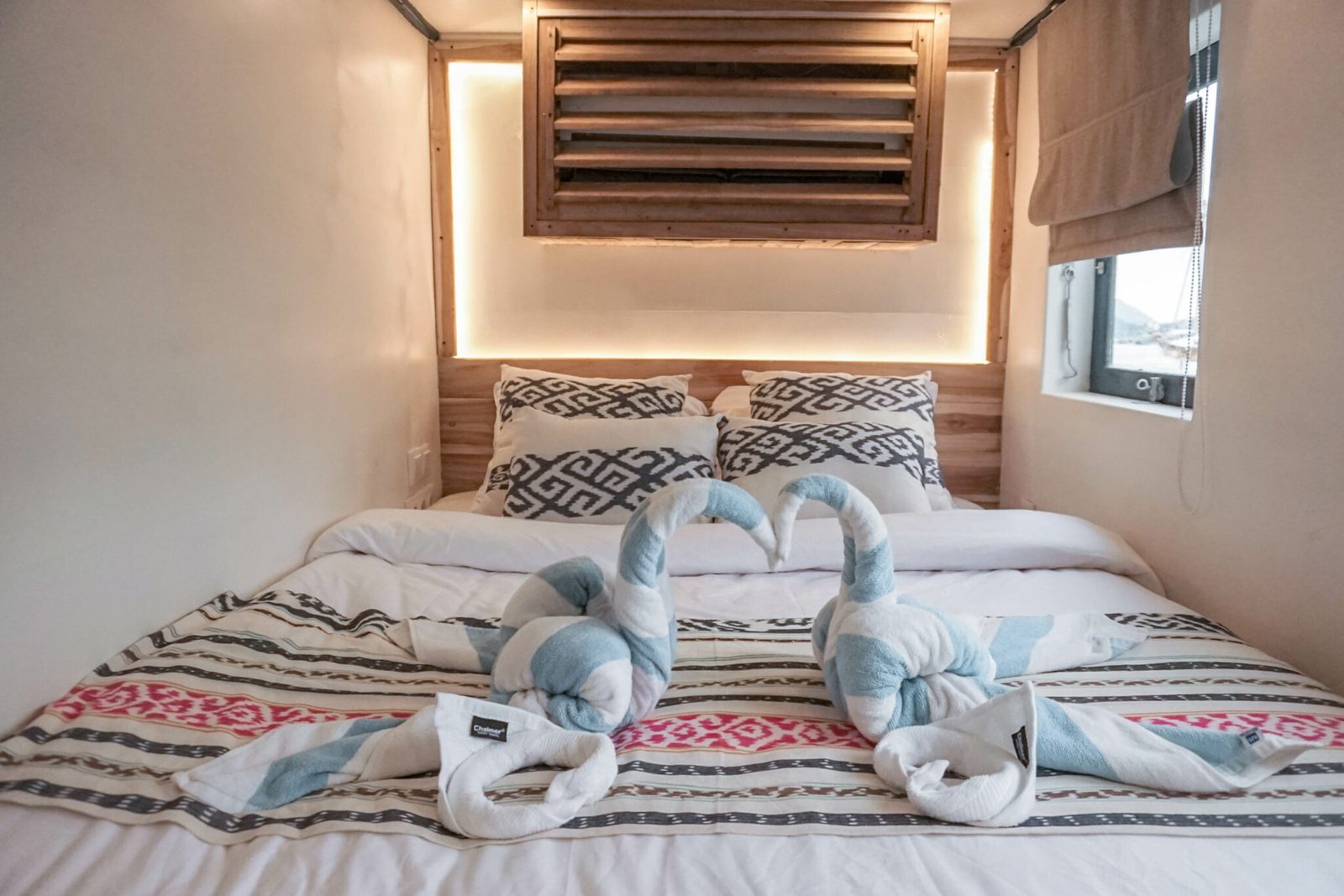 Turtle cabin aboard Sea Familia I liveaboard