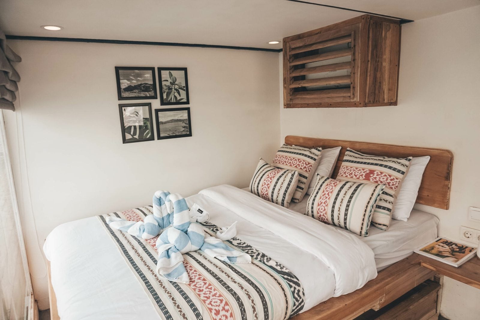 Turtle cabin aboard Sea Familia I liveaboard