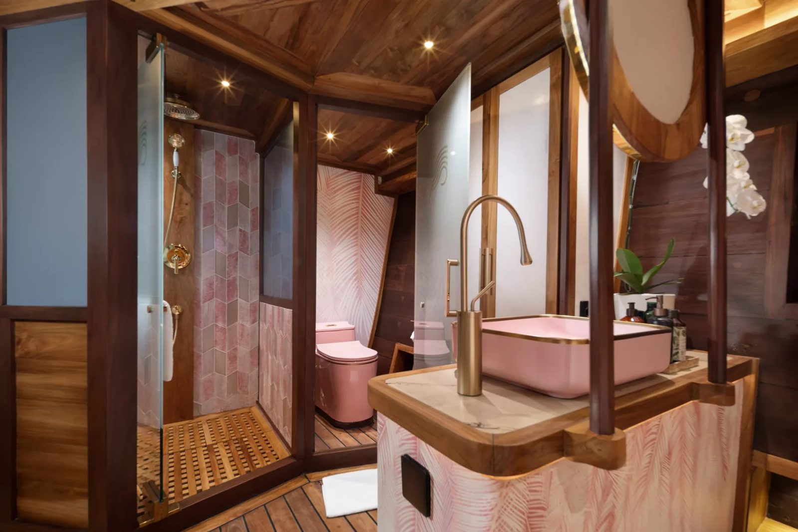 Coral Stateroom cabin aboard Otium liveaboard