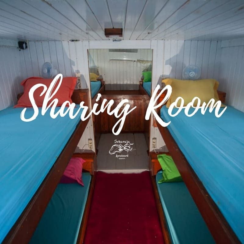 Dorm Cabin cabin aboard Sokaraja liveaboard