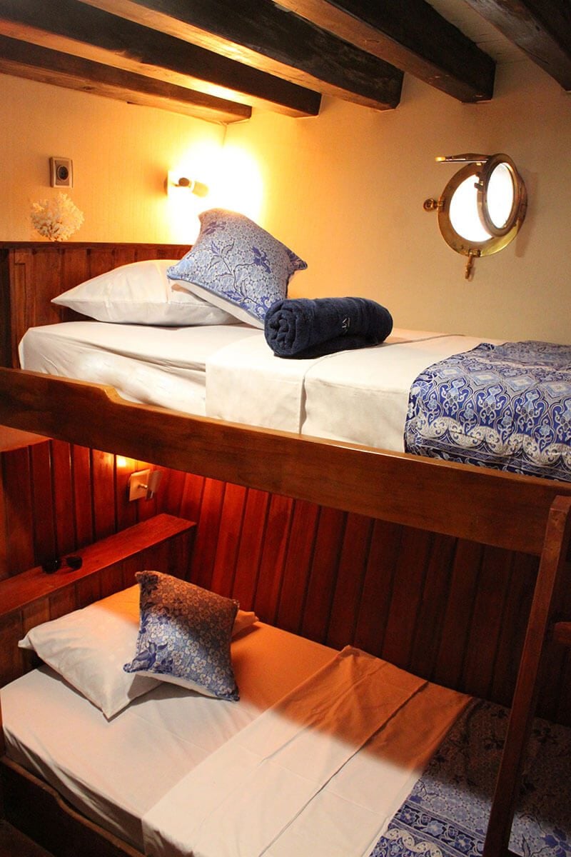 Seahorse Standard cabin aboard Pearl of Papua liveaboard