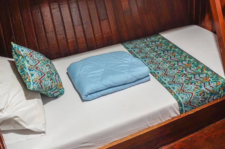 Seahorse Standard cabin aboard Pearl of Papua liveaboard