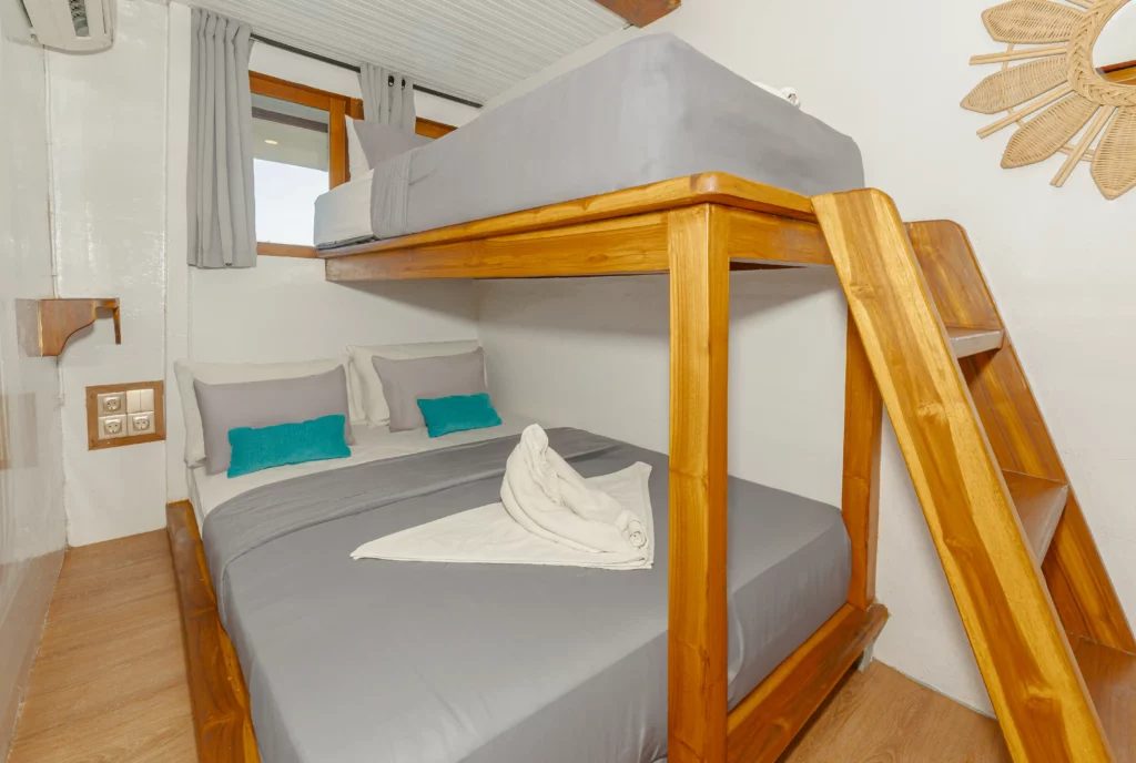 Sharing Cabin 3 cabin aboard Amore liveaboard