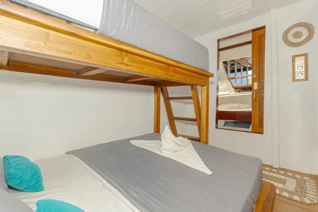 Sharing Cabin 3 cabin aboard Amore liveaboard