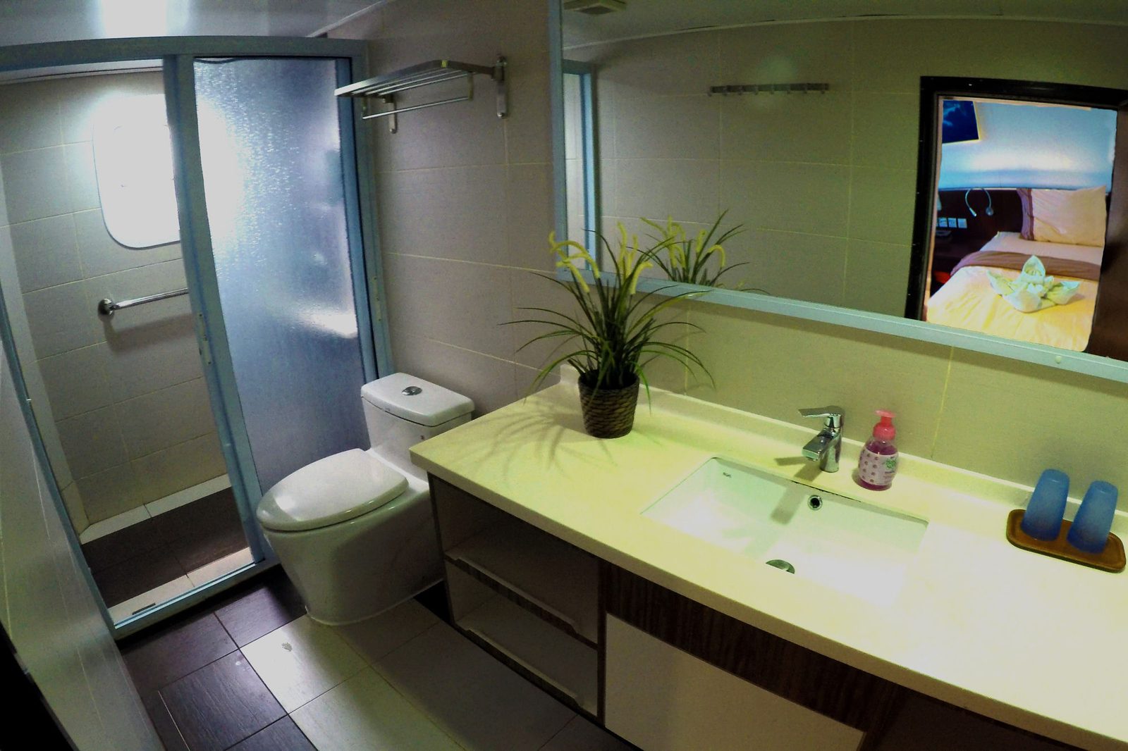 Main Deck Double/Twin cabin aboard Blue Manta liveaboard