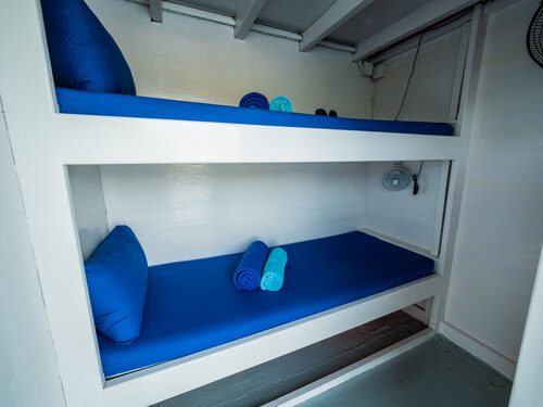Bunk Bed Cabin cabin aboard Epica liveaboard