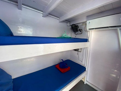 Bunk Bed Cabin cabin aboard Epica liveaboard