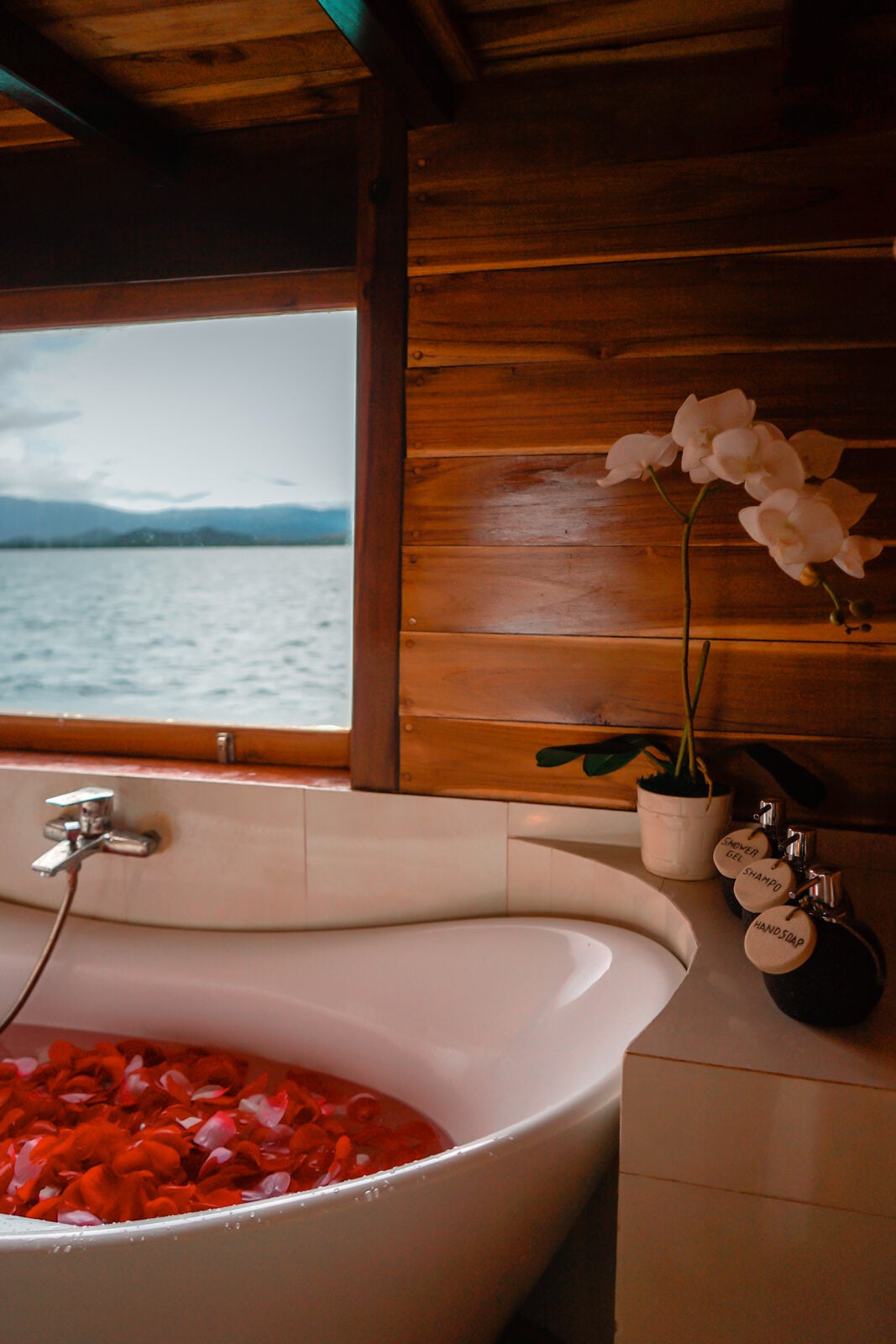 WESTERN cabin aboard Vinca liveaboard