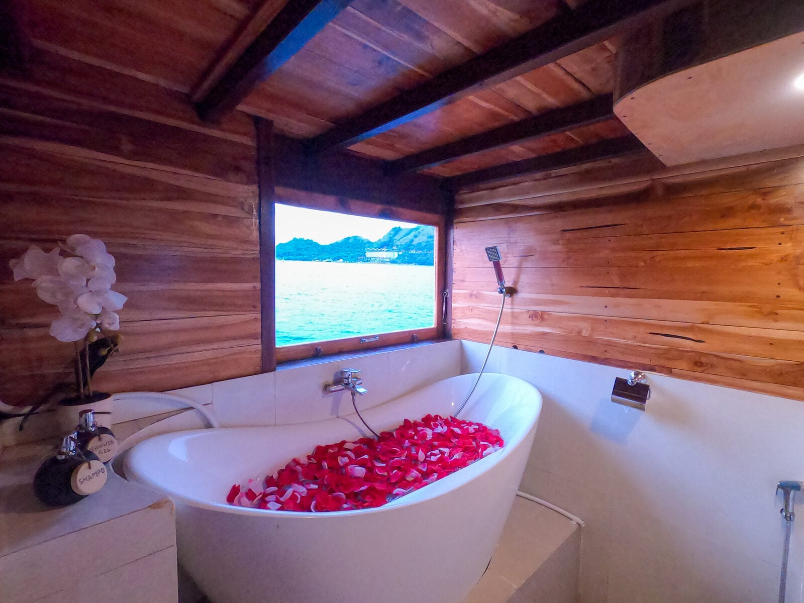 WESTERN cabin aboard Vinca liveaboard