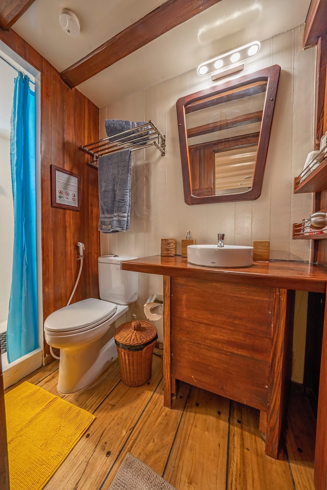 Double/Twin Lower Deck cabin aboard MV Ambai liveaboard