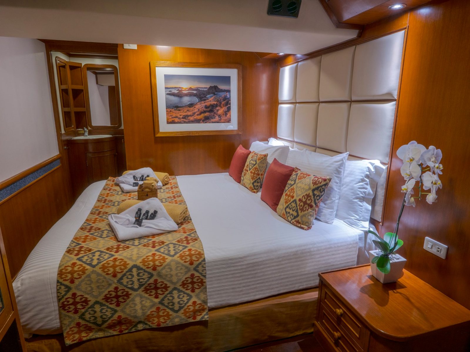 Deluxe Cabin cabin aboard Mermaid I liveaboard