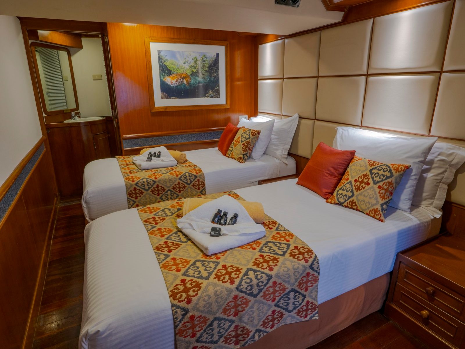 Deluxe Cabin cabin aboard Mermaid I liveaboard