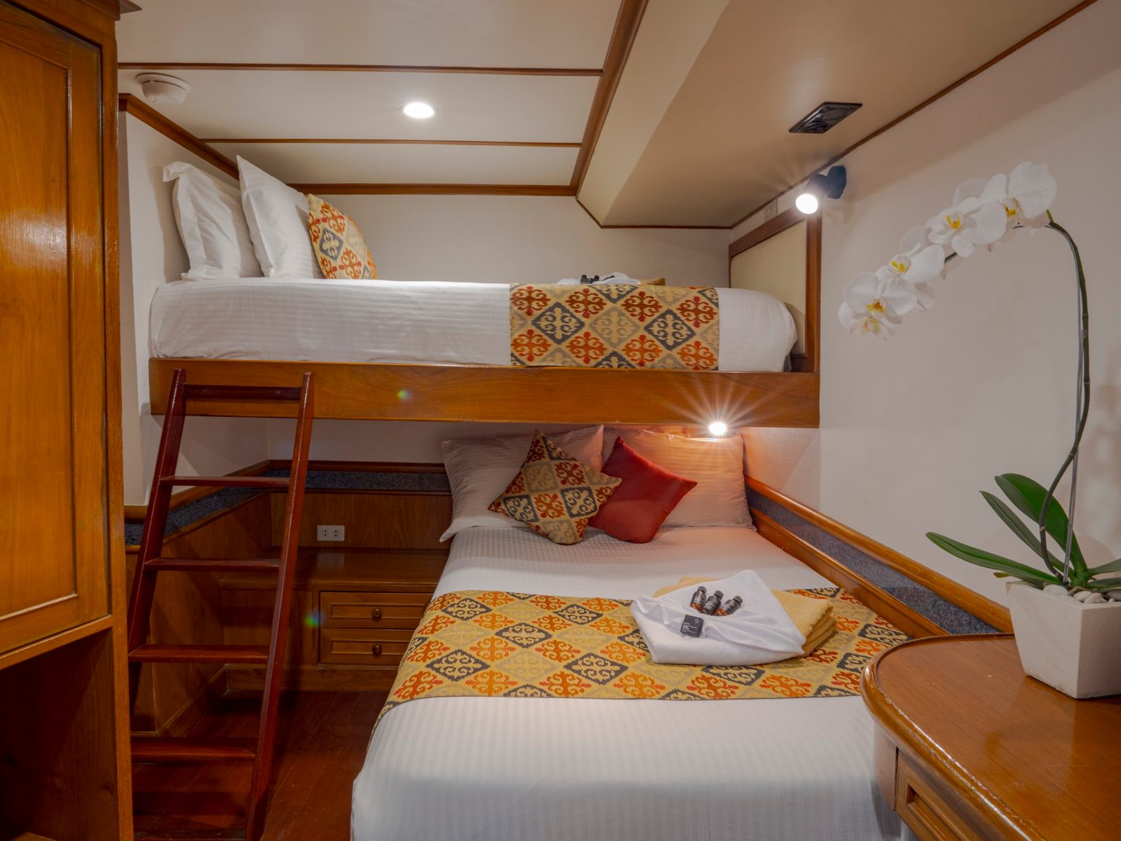 Lower Deck Cabin cabin aboard Mermaid I liveaboard