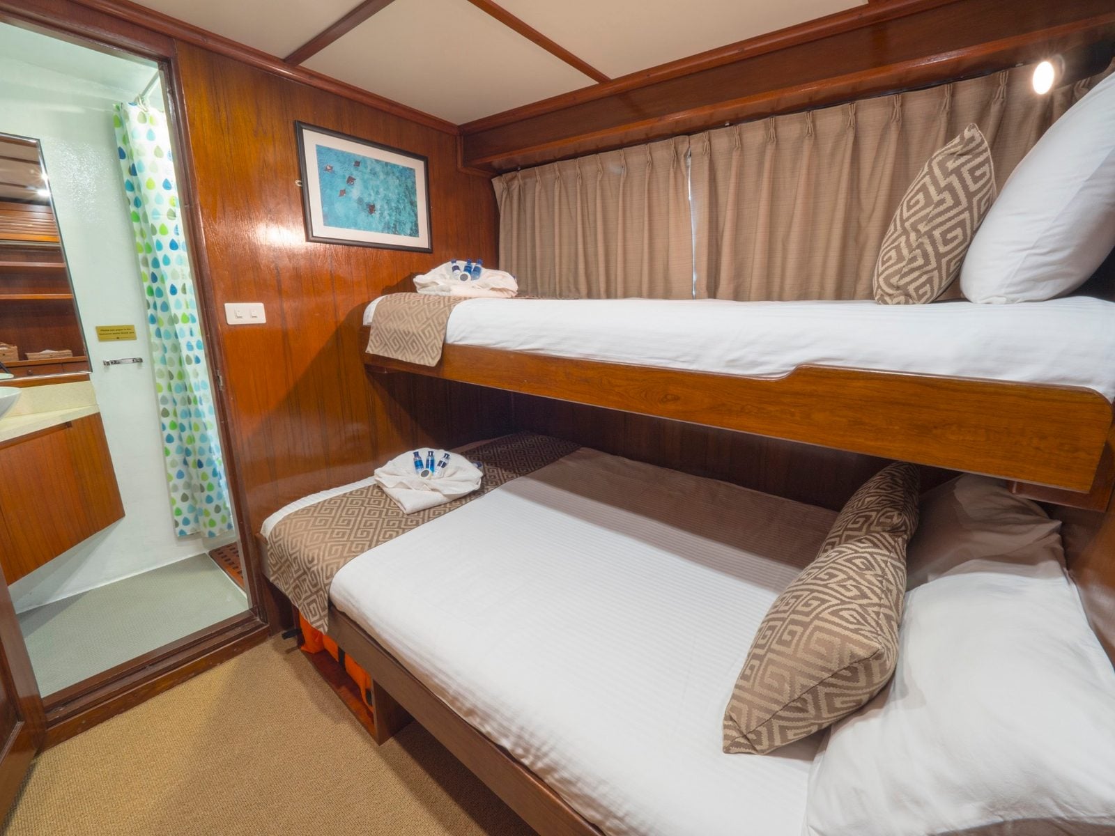 Deluxe Cabin cabin aboard Mermaid II liveaboard