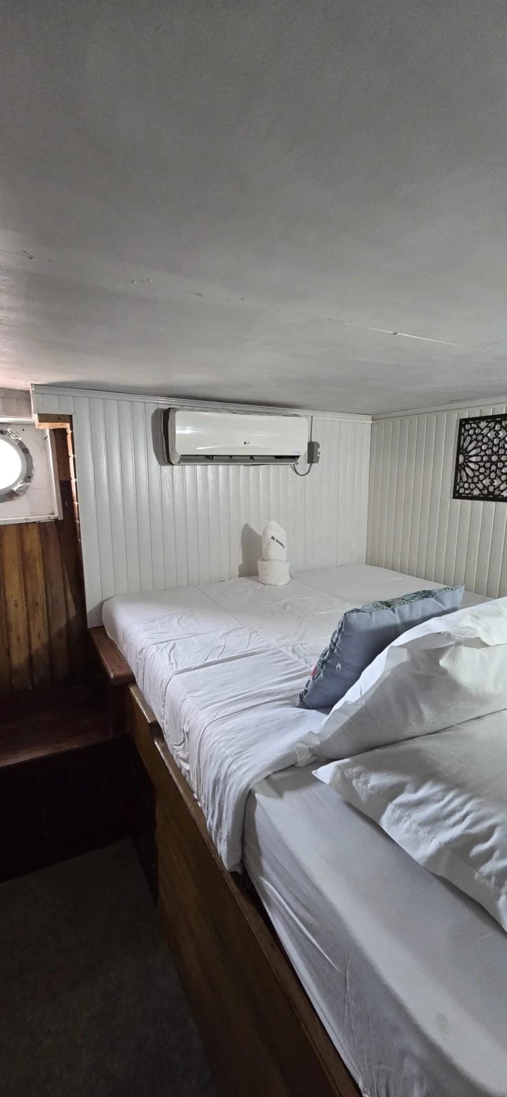 Double Bed Cabin cabin aboard Seamore Papua liveaboard