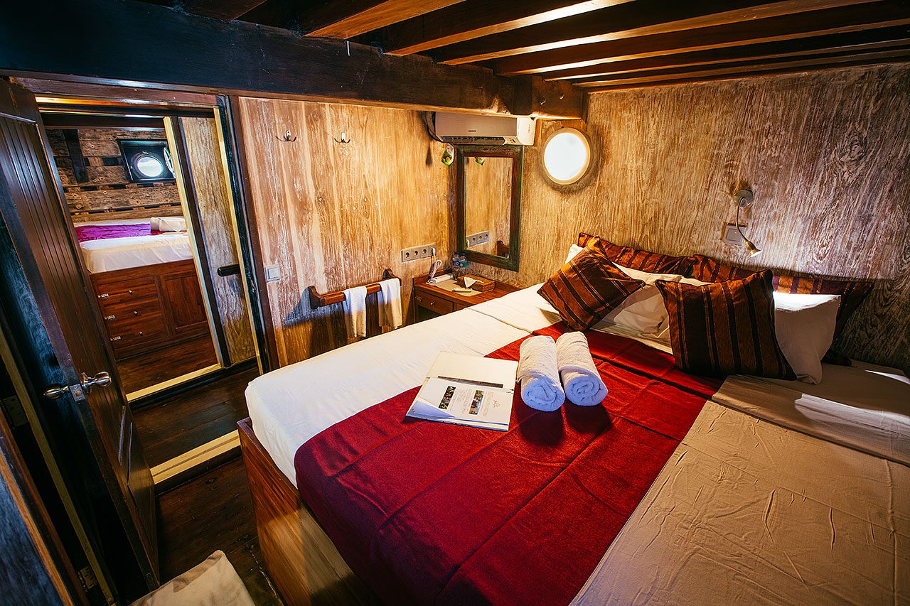 Double State Room (Lower Deck) cabin aboard The Seven Seas liveaboard