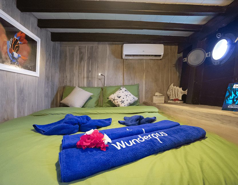 Double Cabin cabin aboard Wunderpus Liveaboard liveaboard