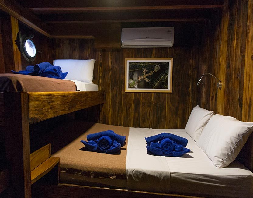 Double Cabin cabin aboard Wunderpus Liveaboard liveaboard