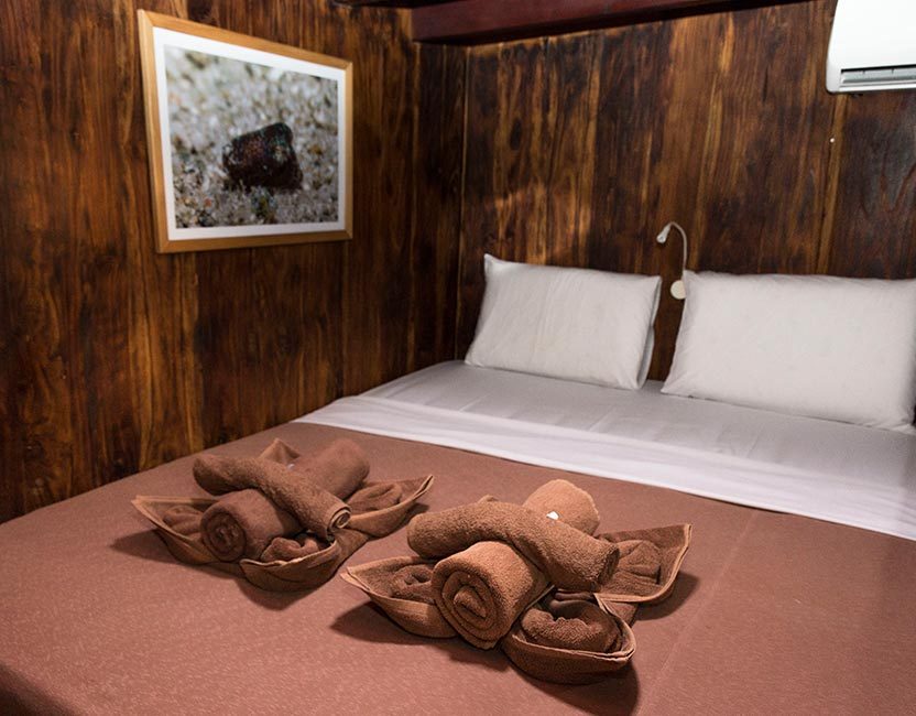Double Cabin cabin aboard Wunderpus Liveaboard liveaboard